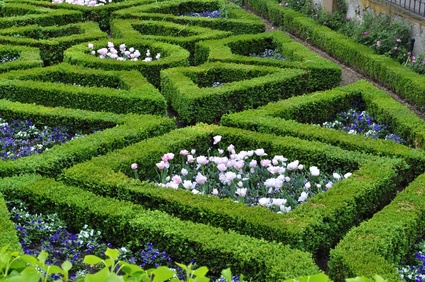 Giardino di labirinto